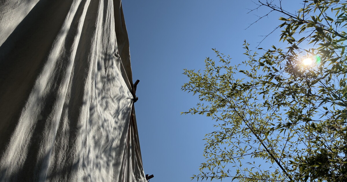 3 cheap ways to stay cool in Seattle without A/C
